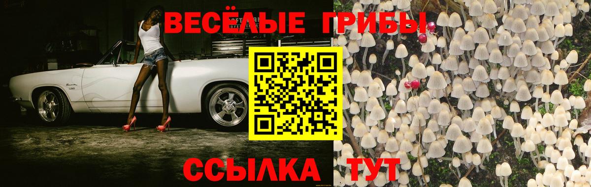 Арзамас  Галлюциногенные грибы Cubensis  Вход с VPN 