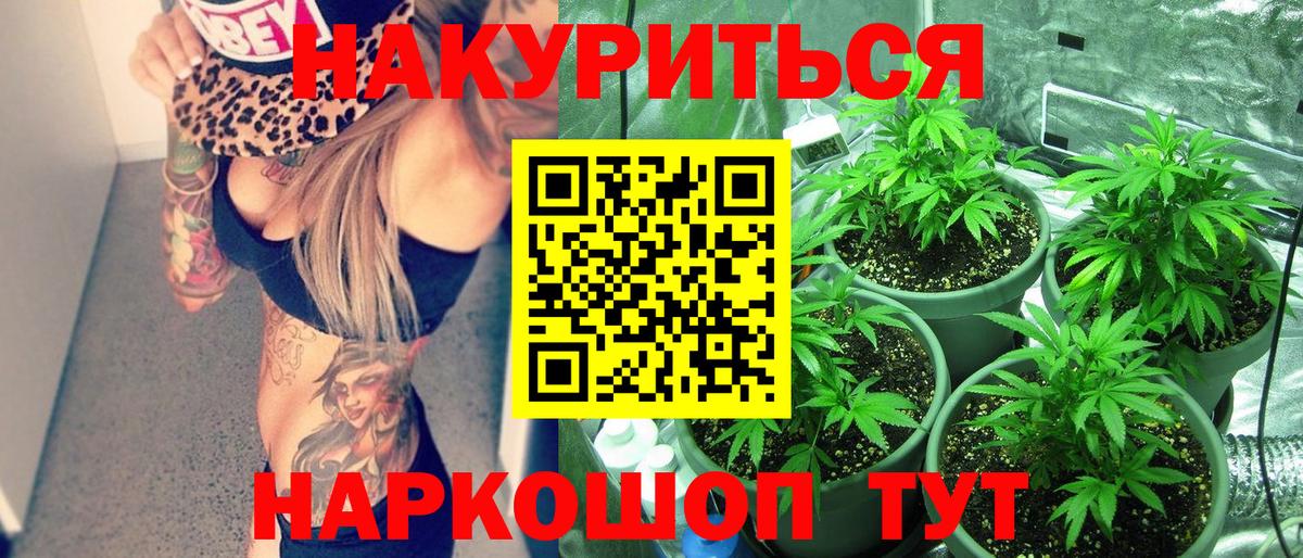 Канабис SATIVA & INDICA Арзамас